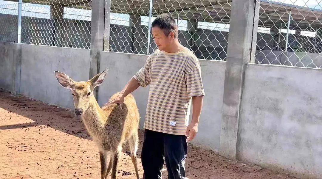 姚记指尖捕鱼电脑版